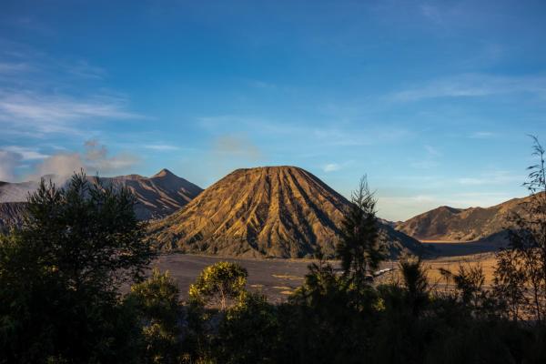 Cemara Indah Hotel, 予約 ホテル Ngadisari East Java