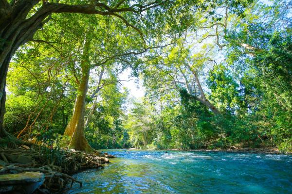 River Cottage, 予約 ロッジ Wellawaya Monaragala District