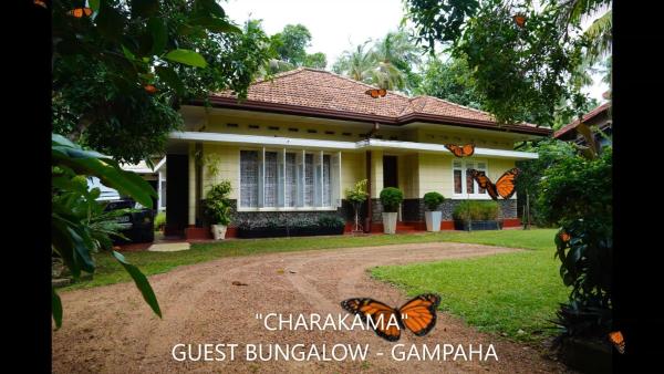 CHARAKAMA Guest Bungalow - GAMPAHA, 予約 ゲストハウス Minuwangoda ガンパハ県