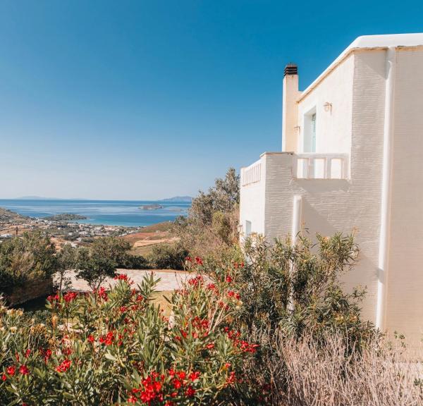 Villa Il Paradiso Andros, 予約  Gavrio Andros Island