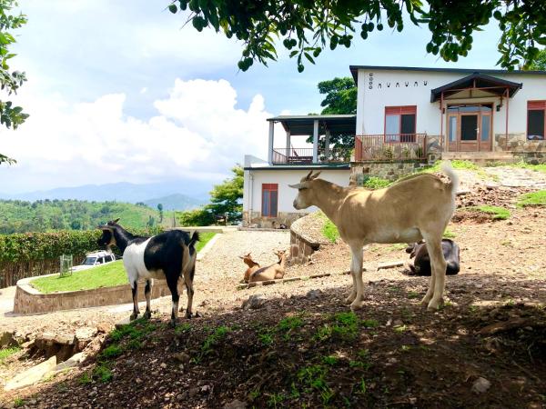 Amazi Land Home and Farm Stay, 予約  Kibuye Gitsi