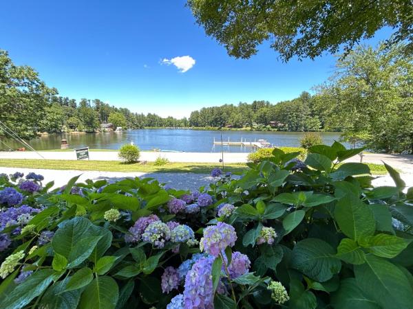 Mountain Lake Cottages, 予約  ヘンダーソンビル ノースカロライナ州