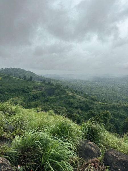 Banasura Wayanad, 予約  Meenangadi Wayanad