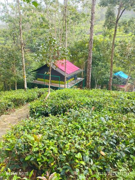 Organic Farmers Tent & Trekking, 予約  Yedapalli Tamil Nadu
