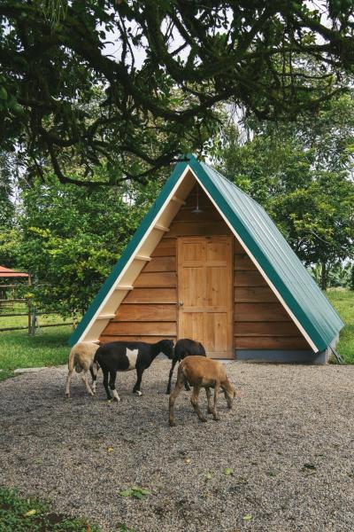 Musasana Wellness Farm, 予約  Puerto Viejo Heredia